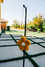 Load image into Gallery viewer, the Leicester