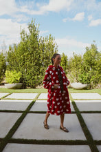 Load image into Gallery viewer, the Omsk Dress