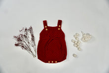 Load image into Gallery viewer, the Red Panda