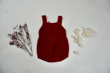 Load image into Gallery viewer, the Red Panda