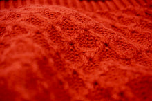 Load image into Gallery viewer, the Red Panda