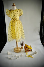 Load image into Gallery viewer, the Frutescens