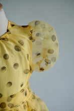 Load image into Gallery viewer, the Frutescens