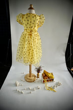 Load image into Gallery viewer, the Frutescens