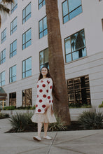 Load image into Gallery viewer, the Ann Arbor Dress