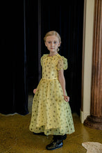 Load image into Gallery viewer, the Frutescens