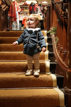 Load image into Gallery viewer, the Scutellaria Ovata