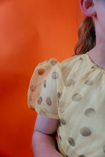 Load image into Gallery viewer, the Frutescens