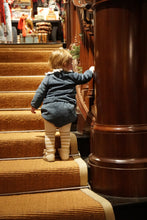 Load image into Gallery viewer, the Scutellaria Ovata