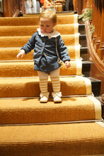 Load image into Gallery viewer, the Scutellaria Ovata