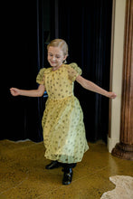 Load image into Gallery viewer, the Frutescens