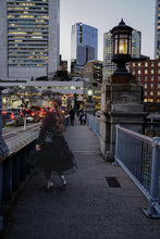 Load image into Gallery viewer, the Hastings Skirt