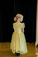 Load image into Gallery viewer, the Frutescens