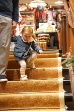 Load image into Gallery viewer, the Scutellaria Ovata