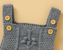 Load image into Gallery viewer, the Langur