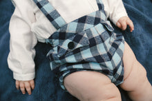 Load image into Gallery viewer, the Albatross
