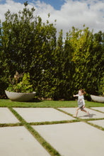 Load image into Gallery viewer, the Langur
