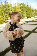 Load image into Gallery viewer, the Persian Lily
